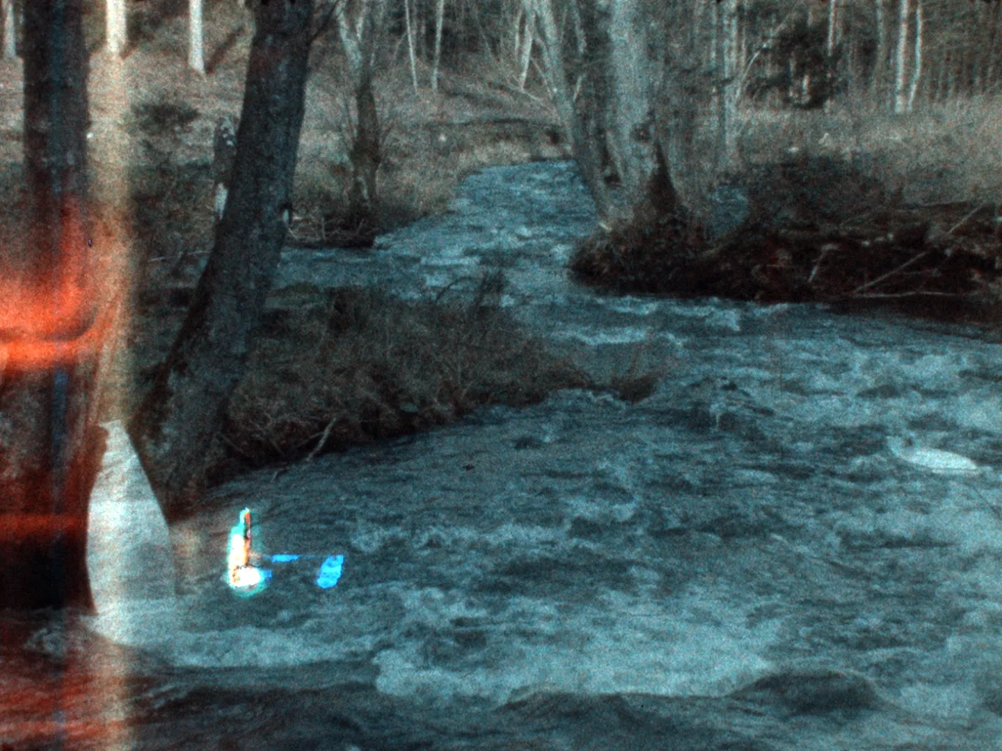 Homage to Francesca Woodman 2
