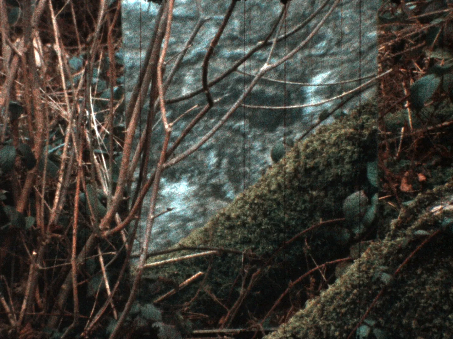 Homage to Francesca Woodman 3