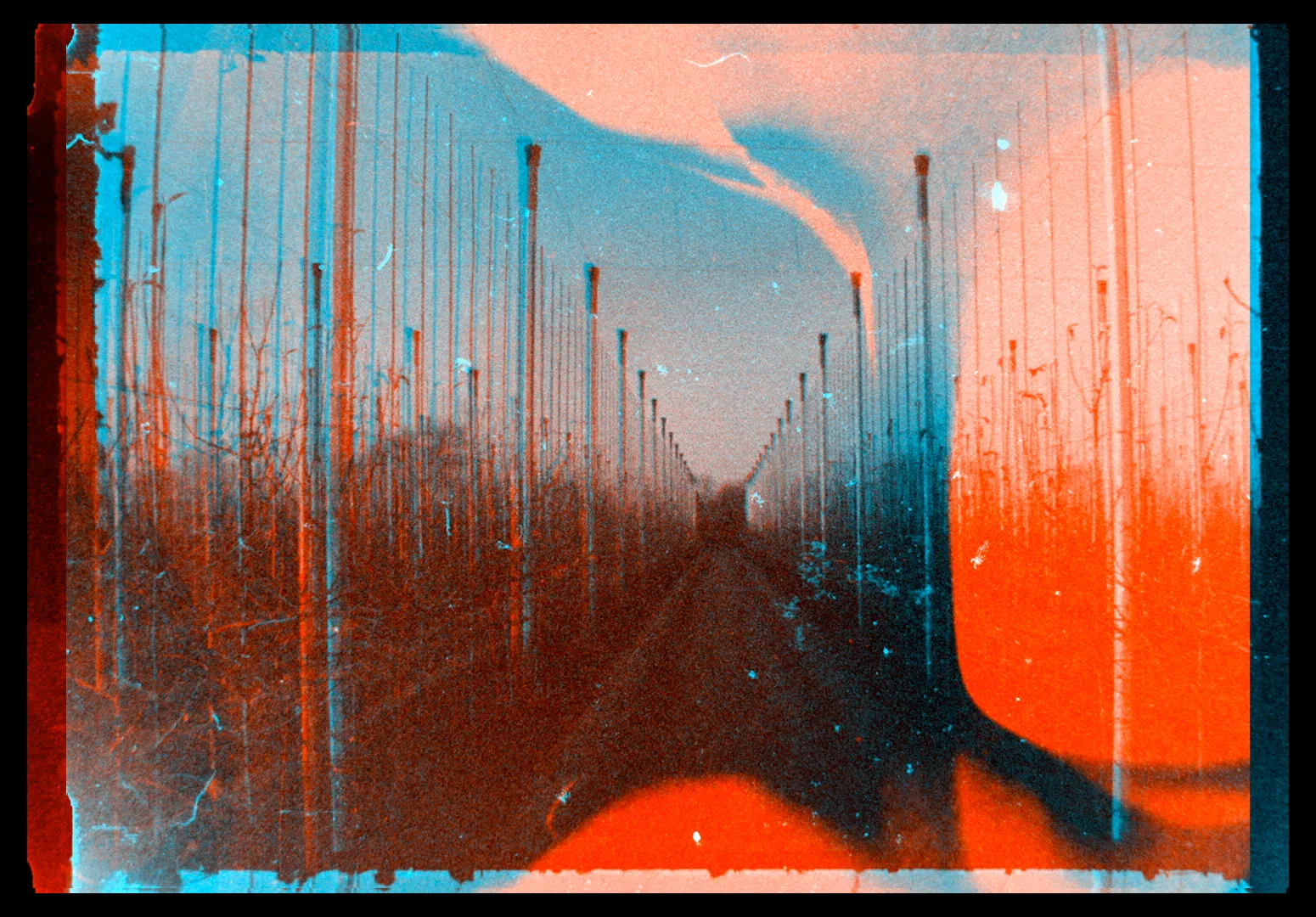 Chaussee de l'amour 1