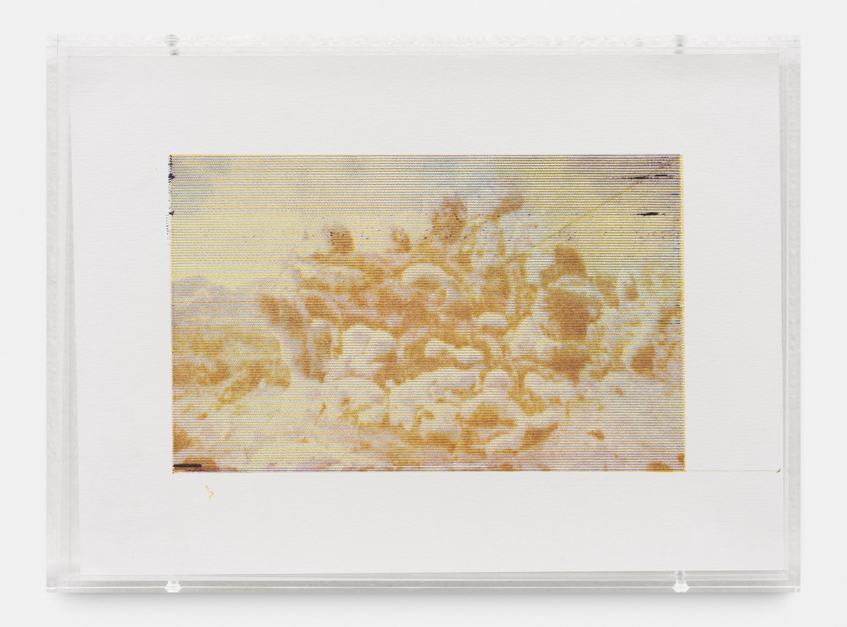 Generative Landscapes le miroir de Claude